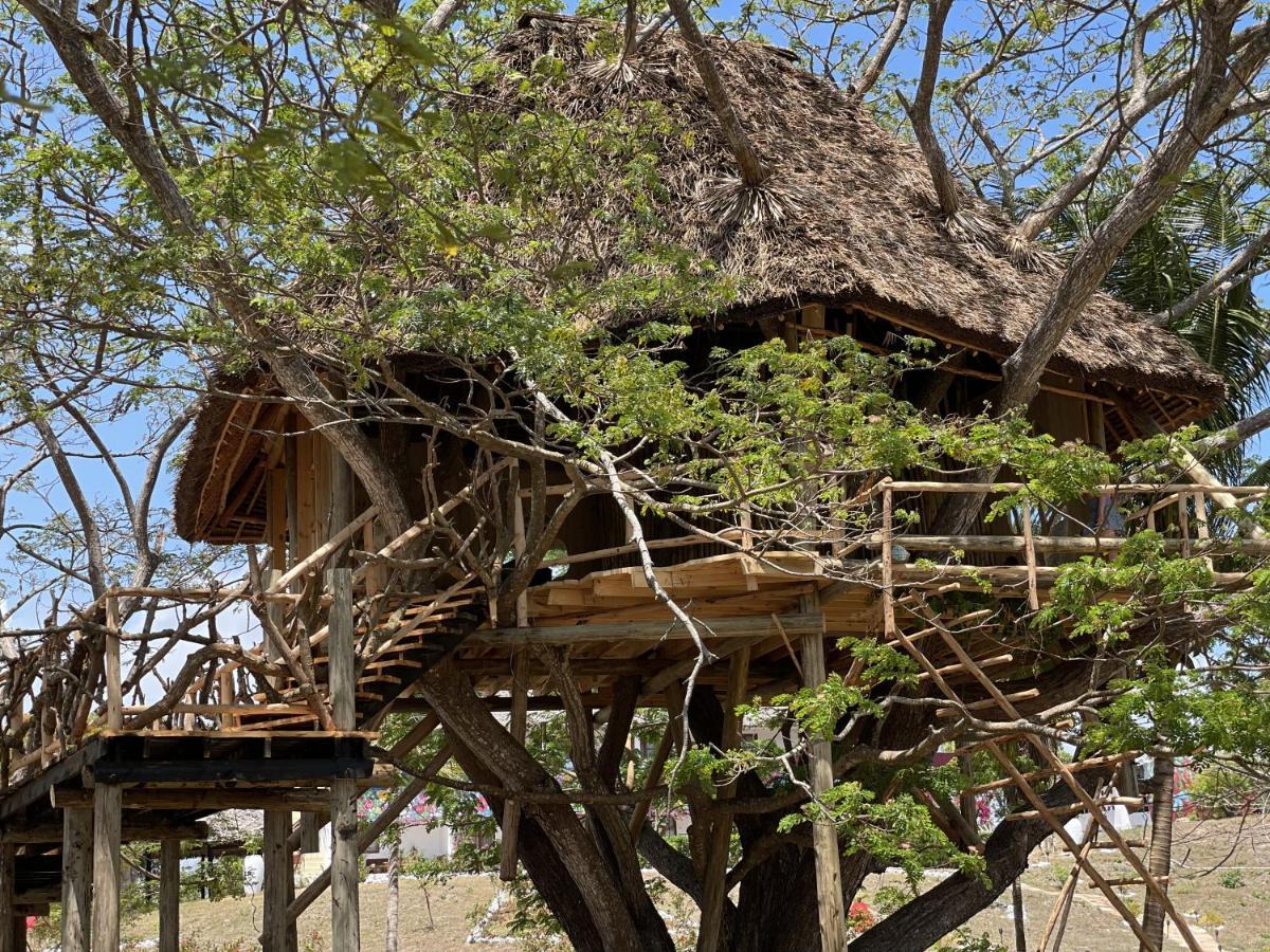 Antonio Beach Tree House Hotel & Spa Uroa Zewnętrze zdjęcie