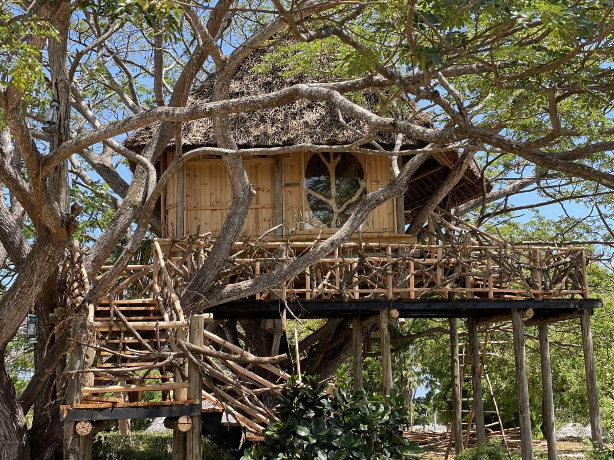 Antonio Beach Tree House Hotel & Spa Uroa Zewnętrze zdjęcie