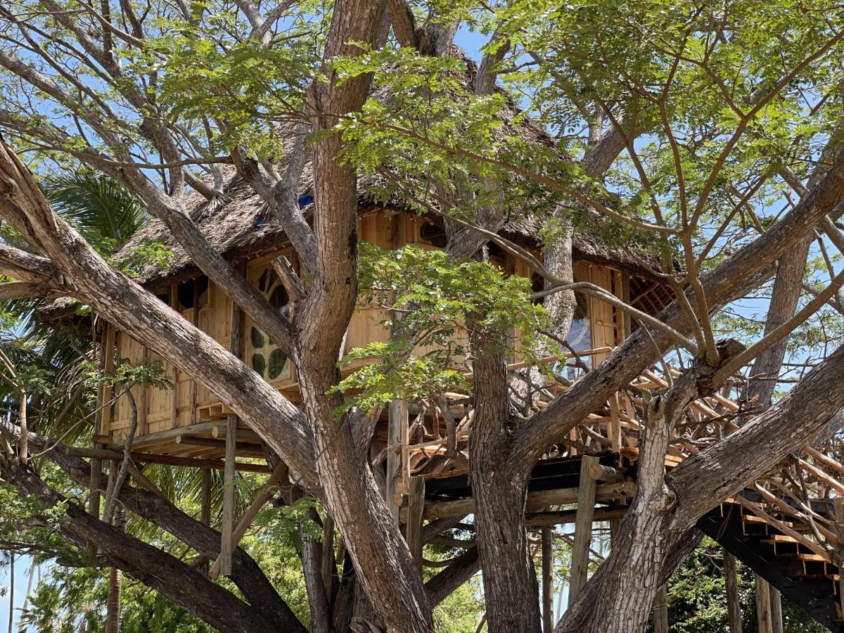 Antonio Beach Tree House Hotel & Spa Uroa Zewnętrze zdjęcie